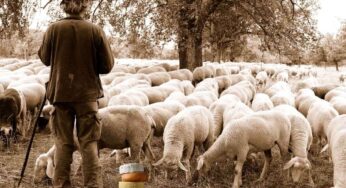Cosa mangiavano i pastori durante la transumanza in Abruzzo