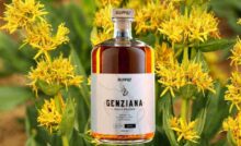 Storia e tradizione del liquore alla genziana.  Le caratteristiche uniche della genziana abruzzese.  Genziana: il liquore digestivo per eccellenza. 
