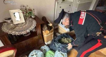 Scoperto con 20 chili di stupefacenti: in manette un uomo di 56 anni