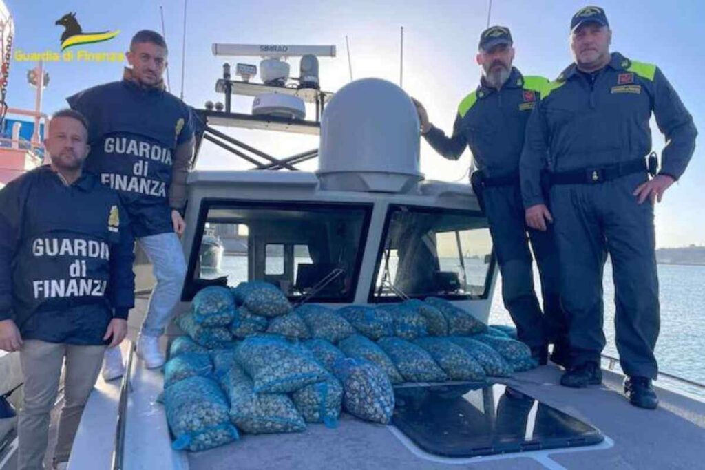 Porto di Ortona: sequestrati 340 kg di vongole pescate illegalmente. Pesca di frodo a Ortona: multa e attrezzatura sequestrata. Vongole sequestrate al porto di Ortona: scatta la sanzione. Pesca illegale, 340 kg di vongole salvate e rigettate in mare. 