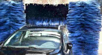 Carabinieri Forestali e Regione smascherano attività irregolari