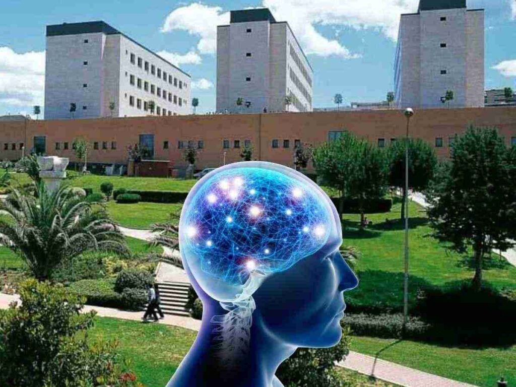 Neuroplasticità e invecchiamento: strategie quotidiane per un cervello sano. ​ Brain training nella vita quotidiana: consigli dagli esperti. ​ Settimana della Salute del Cervello: l'evento dell'Università "d'Annunzio". ​