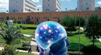 Invecchiamento cerebrale e prevenzione: focus sul brain training