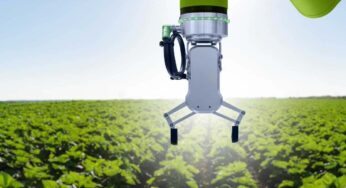 Tecnologie avanzate contro le malattie delle piante